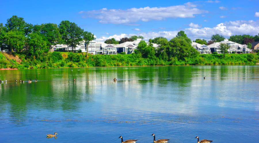 Vi erbjuder ett brett urval av biluthyrningsalternativ i St. Catharines.